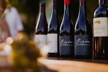 IV Cata Solidaria de Vinoteca San Juan (Foto TA)